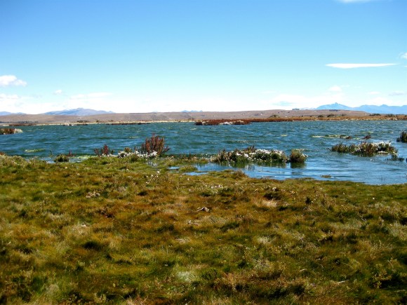 Lagunas Nimez