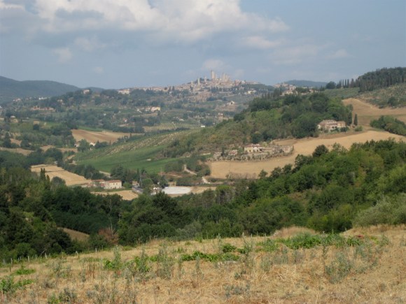 Il fottuto vigneto 2